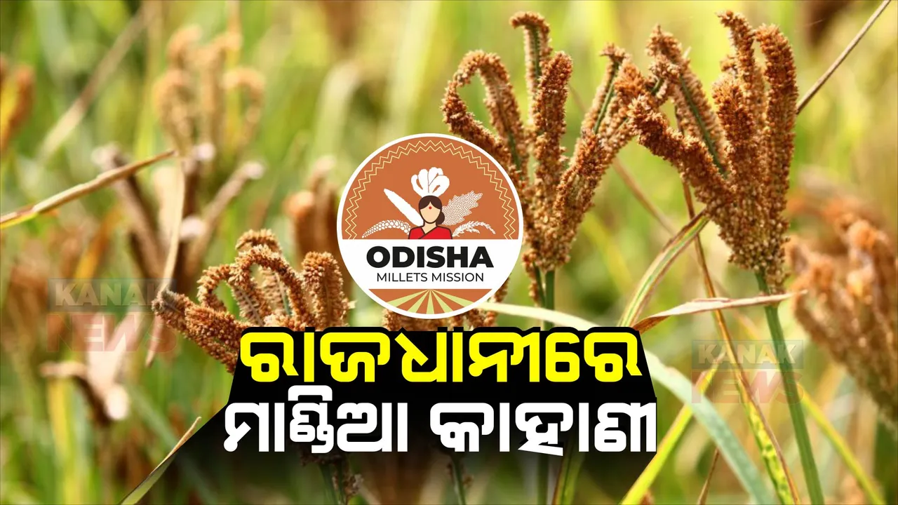  ପାଠରେ ଡୋରି ବାନ୍ଧିଳା ଅଭାବ ଅନଟନ: ମିଲେଟ ବନାଇଲା କମ୍ପାନୀ ନିର୍ଦ୍ଦେଶକ