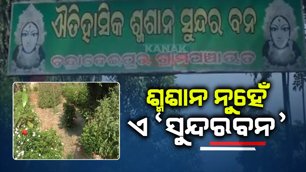  ନିଜ ଅର୍ଥ ଓ ଶ୍ରମଦାନରେ ମଶାଣିର ରୂପ ବଦଳାଇଛନ୍ତି ସାଲେପୁରର ମଶାଣି ମଣିଷ ମନୋରଂଜନ ବେହେରା