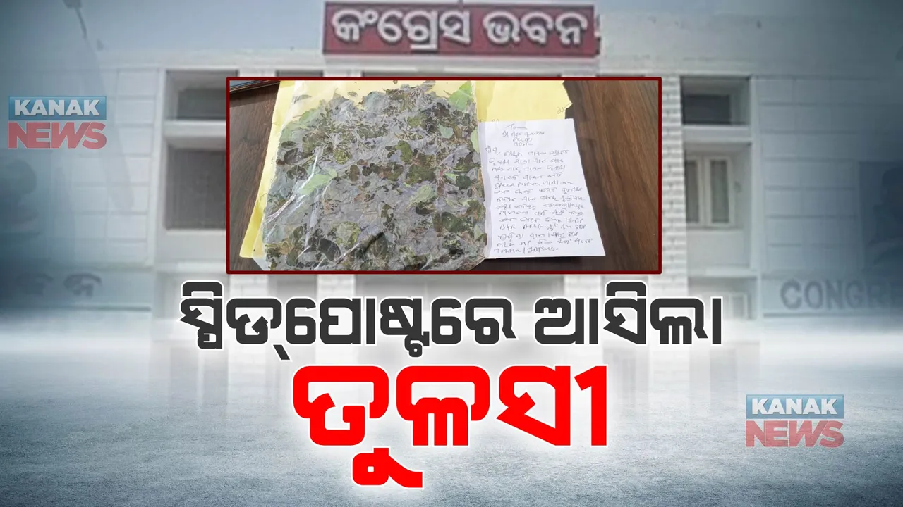  ସମ୍ବଲପୁରରୁ କଂଗ୍ରେସ ଭବନକୁ ସ୍ପିଡ୍ ପୋଷ୍ଟରେ ଆସିଲା ତୁଳସୀ । ପିସିସି ସଭାପତିଙ୍କ ଅପିଲ, ବିଭିନ୍ନ ଜାଗାରୁ ରାଜ୍ୟବାସୀ ପଠାନ୍ତୁ ତୁଳସୀ ।
