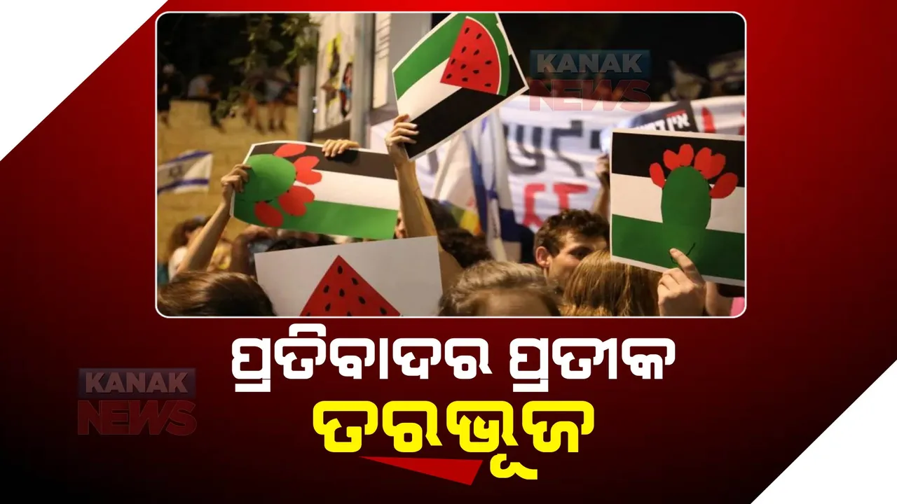  ପାଲେଷ୍ଟାଇନ ନାଗରିକଙ୍କ ପ୍ରତିବାଦର ପ୍ରତୀକ ହେଉଛି ତରଭୂଜ । ଜାଣନ୍ତୁ ଏହା ପଛରେ ଥିବା କିଛି ଅଦ୍ଭୁତ କାରଣ