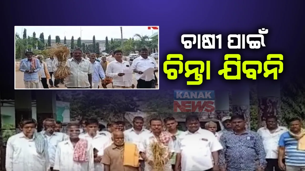 ନିଅଣ୍ଟିଆ ବର୍ଷା ଯୋଗୁଁ ଚାଷୀ ମୁଣ୍ଡରେ ଚଡ଼କ । ଖୋର୍ଦ୍ଧା ଜିଲ୍ଲାକୁ ମରୁଡ଼ି ଘୋଷଣା ପାଇଁ ଜିଲ୍ଲାପାଳଙ୍କ ନିକଟରେ ଚାଷୀଙ୍କ ଦାବି