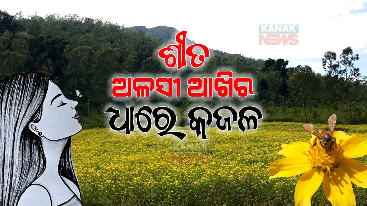  କୋରାପୁଟ: ଯେଉଁଠି ଶୀତକୁ ଆଖିମାରେ ଅଳସୀ, ହଳଦିଆ କ୍ଷେତକୁ ଦେଖି ପର୍ଯ୍ୟଟକ ଯାଆନ୍ତି ଫସି...
