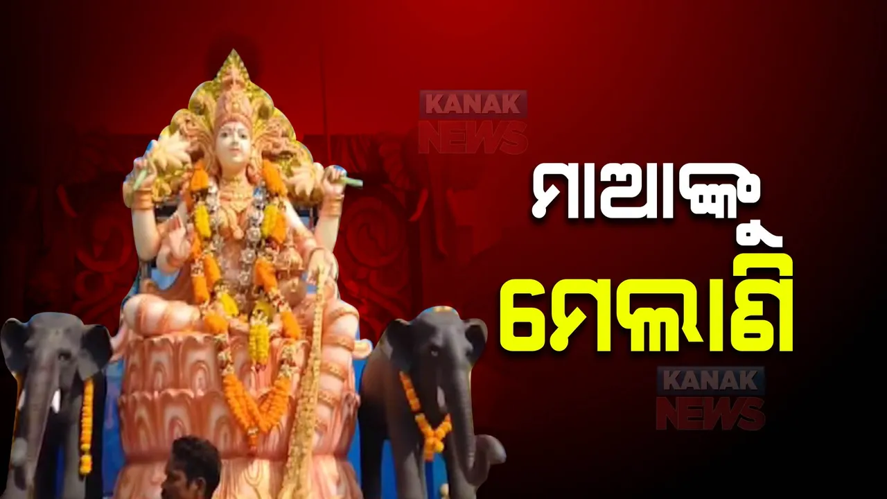  ମେଲାଣି ନେଉଛନ୍ତି ମାଆ ମହାଲକ୍ଷ୍ମୀ ।  ଭସାଣ ପାଇଁ ଶୋଭାଯାତ୍ରାରେ ୩୮ଟି ମେଢ଼  