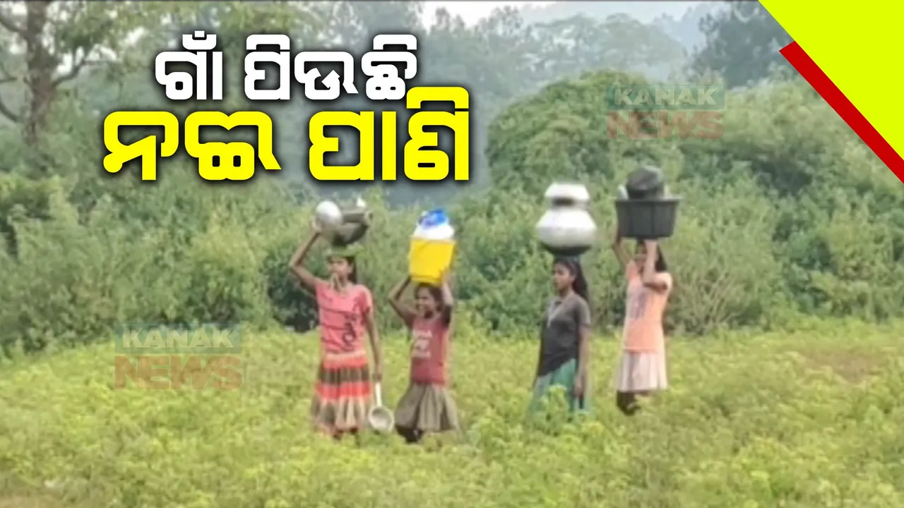  ଅନ୍ଧାରୀ ମୂଲକର ଗାଁ କଦମଡିହି । ଶିକ୍ଷା, ସ୍ୱାସ୍ଥ୍ୟ, ଗମନା ଗମନ ଭଳି ମୌଳିକ ସୁବିଧାରୁ ବଂଚିତ ଗ୍ରାମବାସୀ, ପାନୀୟ ଜଳ ଅଭାବରୁ ଶୋଷ ମେଂଟାଉଛି ନଦୀ ଓ ଝରଣା ପାଣି