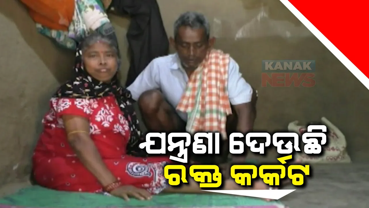  ରକ୍ତ କର୍କଟରେ ଯନ୍ତ୍ରଣା ପାଉଛନ୍ତି ସରସ୍ୱତୀ: ଚିକିତ୍ସା ପାଇଁ ଅର୍ଥ ସାଜିଛି ବାଧକ, କାନ୍ଦି କାନ୍ଦି ସାହାଯ୍ୟ ପାଇଁ ନେହୁରା ହେଉଛନ୍ତି ସରସ୍ୱତୀ