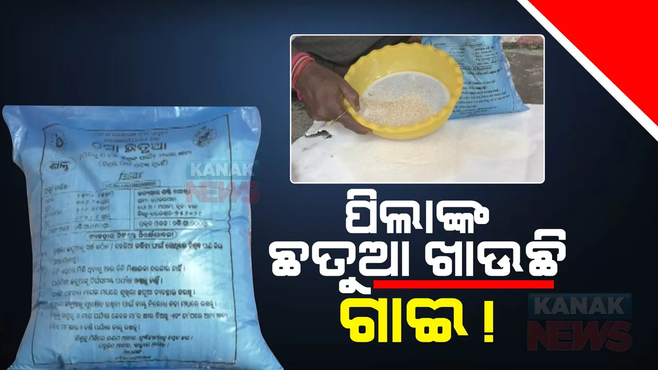  ବସ୍ତାରେ ଛତୁଆ ପ୍ରସ୍ତୁତ କରୁଥିବା ସ୍ୱୟଂ ସହାୟକ ଗୋଷ୍ଠୀ ବିରୋଧରେ ସାଙ୍ଘାତିକ ଅଭିଯୋଗ । କୁନି କୁନି ପିଲାଙ୍କୁ ଦିଆଯାଉଛି ନିମ୍ନମାନର ଛତୁଆ