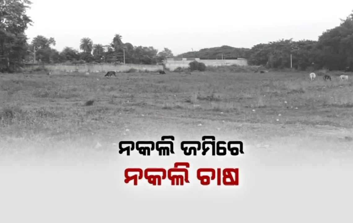  ସାଟେଲାଇଟ୍ ସର୍ଭେ ଧରାଇଲା ଜାଲିଆତି । ଧାନ ବିକିବା ପାଇଁ ନକଲି ପଟ୍ଟା ଦେଇ ମଣ୍ଡିରେ କରିଥିଲେ ପଞ୍ଜିକରଣ । ତାଲିକାର ଉପରେ ରହିଛି ବରଗଡ ।