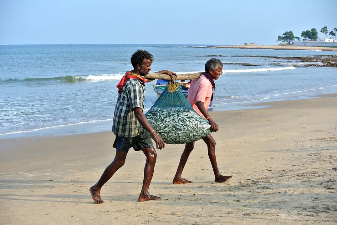  ପାରାଦୀପରେ ଆଜିଠୁ  ମେ’ ୩୧ ଯାଏଁ ସମୁଦ୍ରରେ ମାଛ ଧରିବା ମନା । ସମୁଦ୍ରକୂଳରୁ ୨୦ କିଲୋମିଟର ଯାଏଁ ଚାଲିପାରିବନି ଯନ୍ତ୍ର ଚାଳିତ ଡଙ୍ଗା ଓ ଟ୍ରଲର । 