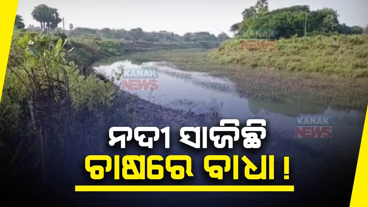  ଚାଷୀର ସମସ୍ୟା ବଢ଼ାଉଛି ଜଗତସିଂହପୁର ଜିଳ୍ଲାର ହଂସୁଆ ନଦୀ । ଚାଷ ଉପଯୋଗରେ ଲାଗିପାରୁନି ନଦୀ ପାଣି