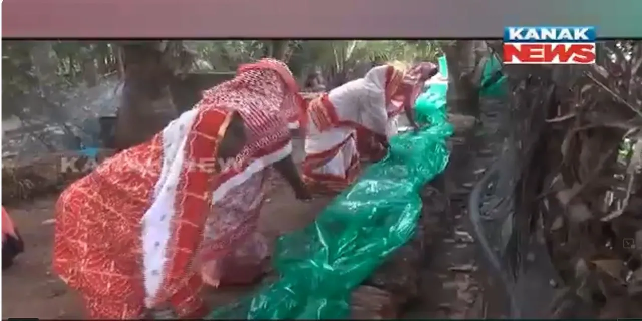  କୃଷ୍ଣପ୍ରସାଦ ଓଡିଆସାହି ଗାଁର ୧୬ ଜଣ ମହିଳା କରୁଛନ୍ତି ଛତୁ ଚାଷ । ୫୦ ହଜାର ଟଙ୍କାରୁ ଆରମ୍ଭ, ଏବେ ଲକ୍ଷାଧିକ ଟଙ୍କା କରୁଛନ୍ତି ରୋଜଗାର