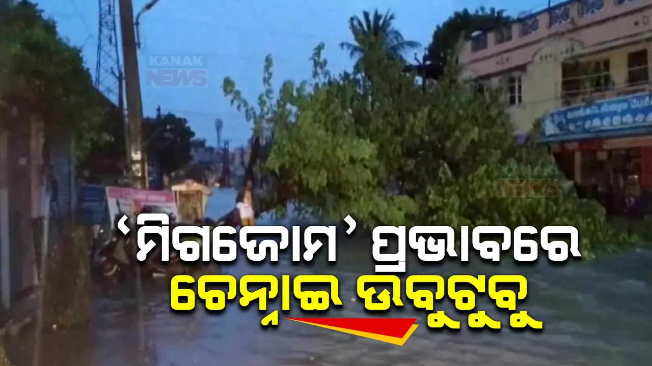  ବାତ୍ୟା ‘ମିଗଜୋମ’ ପ୍ରଭାବରେ ଚେନ୍ନାଇରେ ବିଭିନ୍ନ ସ୍ଥାନରେ ପ୍ରବଳ ବର୍ଷା: ଘରେ ପଶିଲା ପାଣି, ବୁଡିଗଲା ବଡ ବଡ ଗାଡି