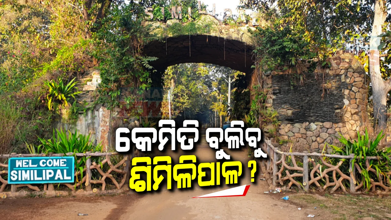  ରାଜ୍ୟରେ ଶୀତର ଲହରୀ । ହେଲେ ଶମିଳିପାଳ ଅଭୟାରଣ୍ୟରେ ଏହାର ମଜା ନେଇପାରୁନାହାଁନ୍ତି ପର୍ଯ୍ୟଟକ । ରାସ୍ତା ବନ୍ଦ କରିଛନ୍ତି ସ୍ଥାନୀୟ ଲୋକେ ।
