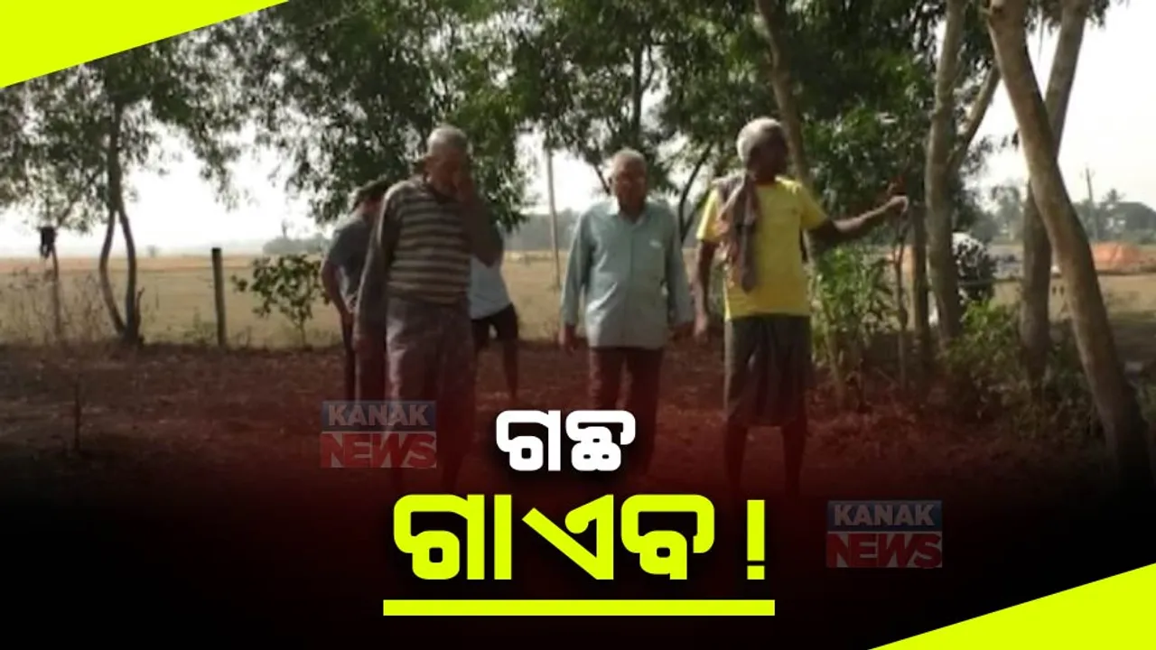  ଗଛ ଲଗାଇବା ନାଁରେ ଗିଳିଦେଲେ ଟଙ୍କା । ୧୭୦୦ ଗଛ ଲଗାଇବାକୁ ବିଲ୍ ହୋଇଛି,  ମାତ୍ର ୩୬ଟି ଗଛ ଲାଗିଛି ।