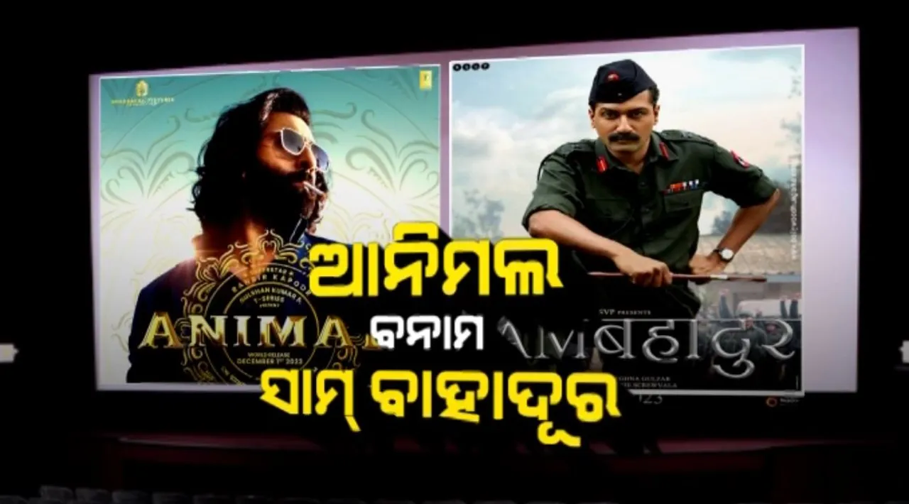  ବଡ଼ପରଦାରେ ବିଗ୍ ଫାଇଟ୍ । ଆନିମଲ ବନାମ ସାମ୍ ବାହାଦୂର