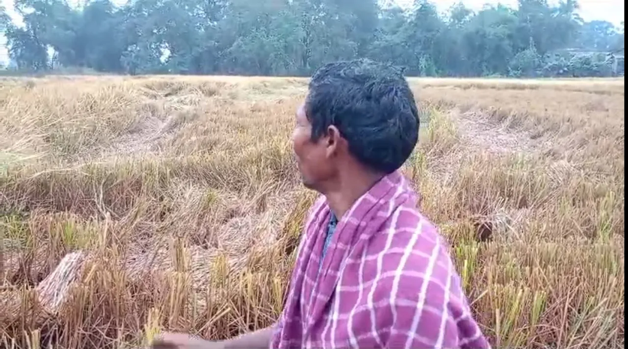  ରାଜ୍ୟରେ ଚାଷୀଙ୍କ ଦୁର୍ଦ୍ଦଶା ବଢାଇଲା ଅଦିନିଆ ବର୍ଷା । ସୁନ୍ଦରଗଡରେ ସବୁ ସରକାରୀ, ବେସରକାରୀ ସ୍କୁଲ ବନ୍ଦ । କୋରାପୁଟରେ ଧସିଲା ପାହାଡ ।