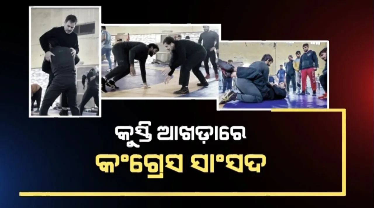  କୁସ୍ତି ଆଖଡ଼ାରେ କଂଗ୍ରେସ ସାଂସଦ: ହରିଆଣା ଆର୍ଯ୍ୟ ଆଖଡ଼ାଶାଳରେ ପହଁଚି କୁସ୍ତିଯୋଦ୍ଧାଙ୍କୁ ଭେଟିଲେ ରାହୁଲ ଗାନ୍ଧୀ