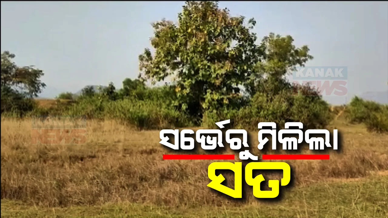  ସାଟେଲାଇଟ ସର୍ଭେରୁ ଧରାପଡିଲା ମିଛ । ପଂଜିକୃତ ପ୍ଲଟରେ ହୋଇନି ଧାନ ଚାଷ, ଅନାବନା ହୋଇ ପଡିଛି ଜମି