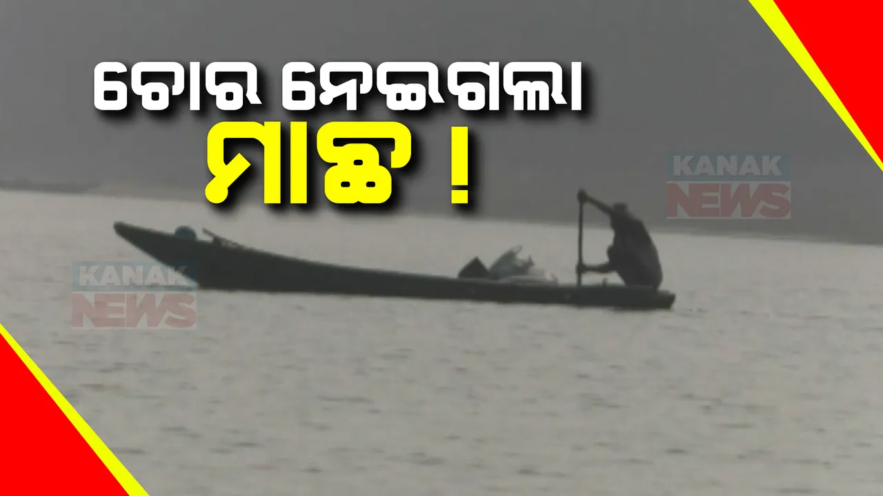  ଦେବୀ ମୁହାଣରେ ମାଛ ଚୋରା ଚାଲାଣକାରୀଙ୍କ ଆଡ୍ଡା । ବାହାରକୁ ଚାଲାଣ କରୁଛନ୍ତି କୁଇଂଟାଲ କୁଇଂଟାଲ ମାଛ ଯାଆଁଳ