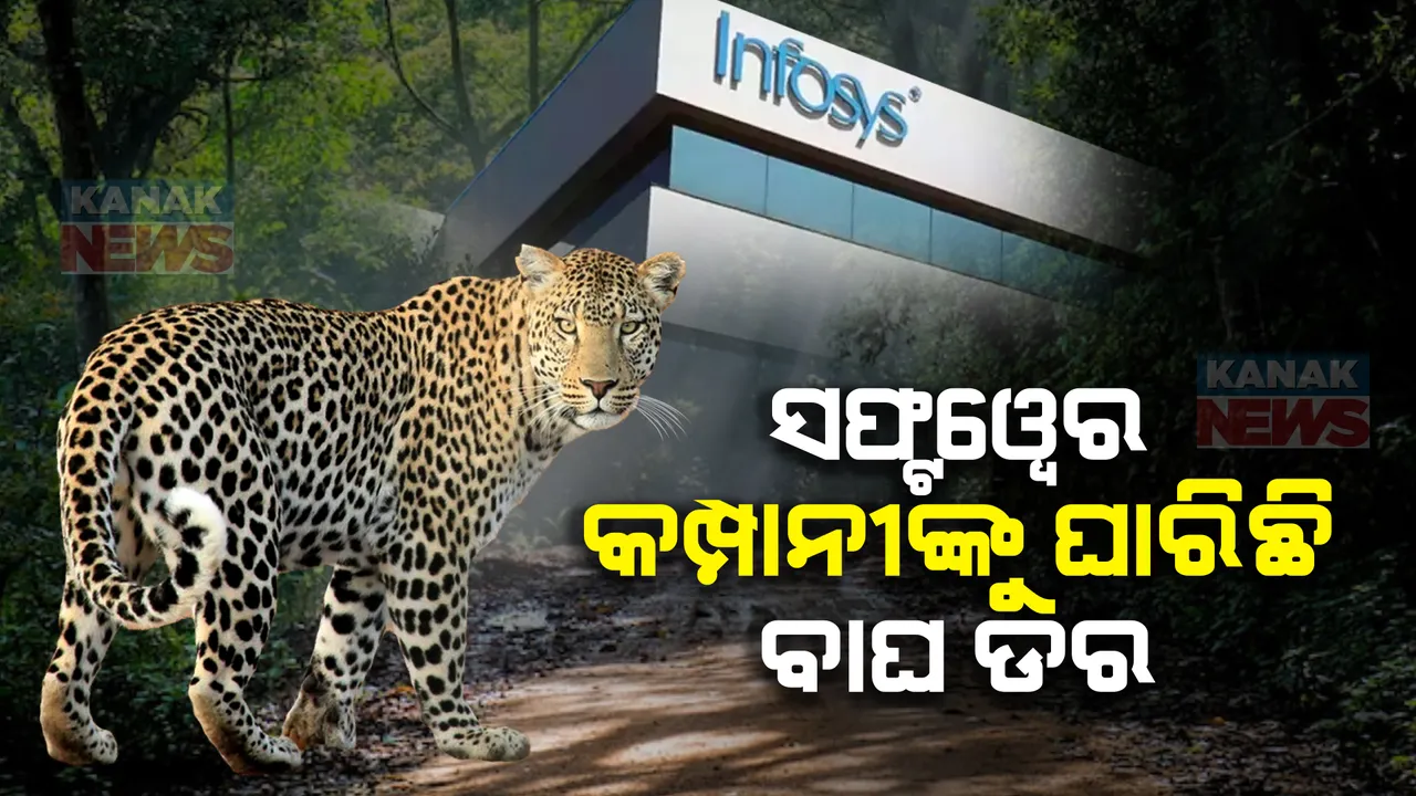  ସଫ୍ଟୱେର କମ୍ପାନୀଙ୍କୁ ଘାରିଛି ବାଘ ଡର । ଇନଫୋସିସ୍ କର୍ମଚାରୀଙ୍କୁ ୱାର୍କ ଫ୍ରମ୍ ହୋମ୍ ନିର୍ଦ୍ଦେଶ, ବଦଳିଲା ଟିସିଏସ୍ କର୍ମଚାରୀଙ୍କ ଡ୍ୟୁଟି ସମୟ ।