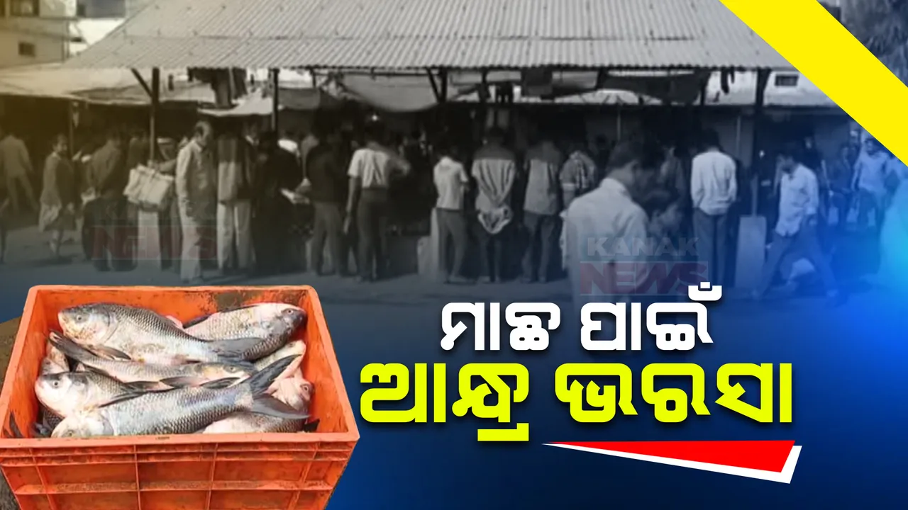  ପର୍ଯ୍ୟଟନ ଋୁତୁରେ ଆମିଷ ବଜାରରେ ଭିଡ । ମାଛ ପାଇଁ ଆନ୍ଧ୍ର ଭରସା, କୋରାପୁଟରେ ଗାଡି ଗାଡି ଆସୁଛି ବରଫ ଦିଆ ରୋହି, ଭାକୁର