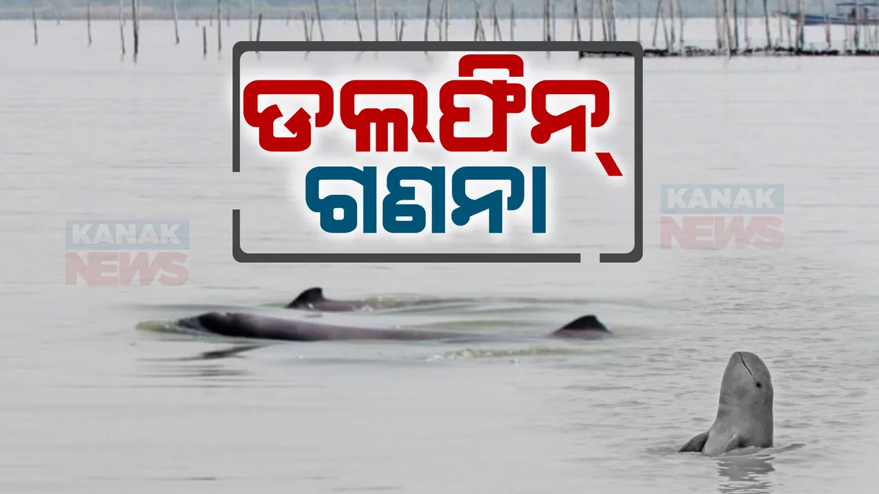  ଆଜିଠାରୁ ଆରମ୍ଭ ହୋଇଛି ଡଲଫିନ୍ ଗଣନା । ବାଲୁଗାଁ ବନ୍ୟପ୍ରାଣୀ ଡିଭିଜନରେ ୧୦ ଟିମ୍ ,ସାତପଡା ଡିଜିଜନରେ ୮ ଟି ଟିମ୍ ଡଲଫିନ ଗଣନାରେ ନିୟୋଜିତ ।