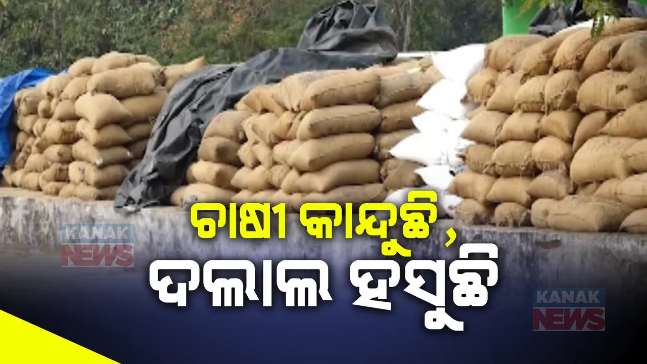  ଓଡିଶାର ଭାତ ହାଣ୍ଡି ବରଗଡରେ ବିଚିତ୍ର ବ୍ୟବସ୍ଥା । ଧାନ ଧରି ଦିନ ଦିନ ମଣ୍ଡି ଆଗରେ ପଡି ରହିଛି ଚାଷୀ, ହେଲେ ଚାଲିଛି ମିଲର-ଦଲାଲ ମଧୁ ଚନ୍ଦ୍ରିକା