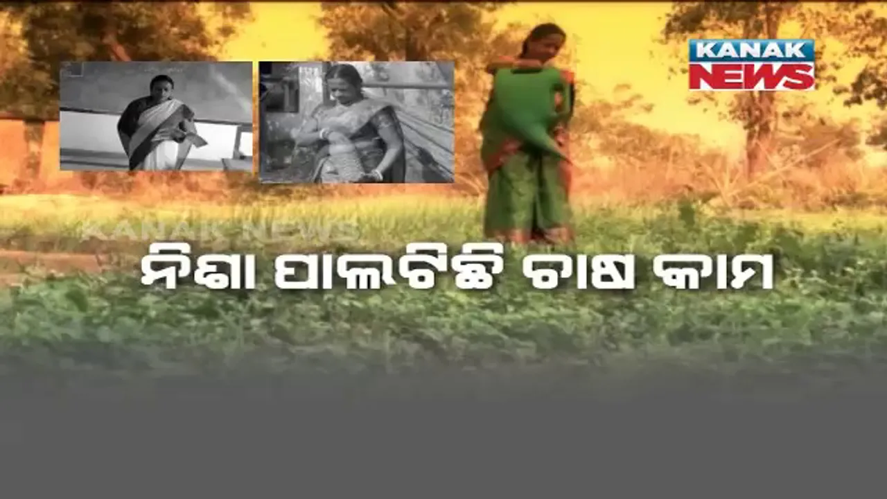  ପେସା ଶିକ୍ଷକତା, ହେଲେ ନିଶା ପାଲଟିଛି ଚାଷ । ଘରୋଇ ଶିକ୍ଷାନୁଷ୍ଠାନରେ ଚାକିରି କରିବା ସହ ବହୁମୁଖୀ ଚାଷ କରୁଛନ୍ତି କାଇମନୀ ମହାନ୍ତ
