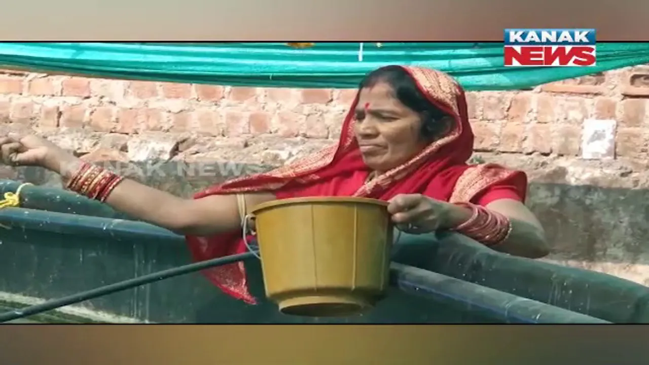  ୟୁଟ୍ୟୁବ୍ ଦେଖାଇଲା ରୋଜଗାରର ରାସ୍ତା । ବାୟୋଫ୍ଲକ ପଦ୍ଧତିରେ ମାଛ ଚାଷ କରି ସ୍ୱାବଲମ୍ବୀ ଭୀମସେନ ।