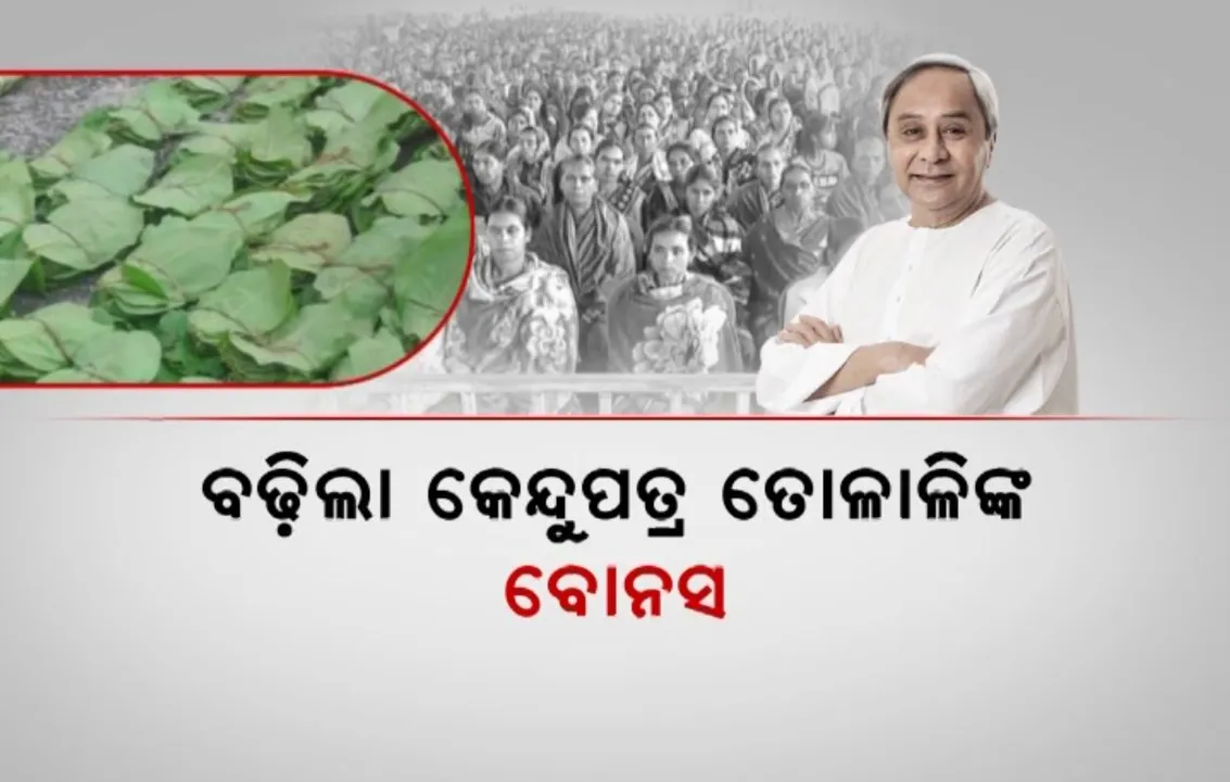  କେନ୍ଦୁପତ୍ର ତୋଳାଳି ଓ କର୍ମଚାରୀଙ୍କ ପାଇଁ ଖୁସି ଖବର । ୨୦୦ କୋଟିର ପ୍ୟାକେଜ୍ ଘୋଷଣା କଲେ ମୁଖ୍ୟମନ୍ତ୍ରୀ, ବୋନସ ୨୫ରୁ ୫୦ ପ୍ରତିଶତକୁ ବୃଦ୍ଧି