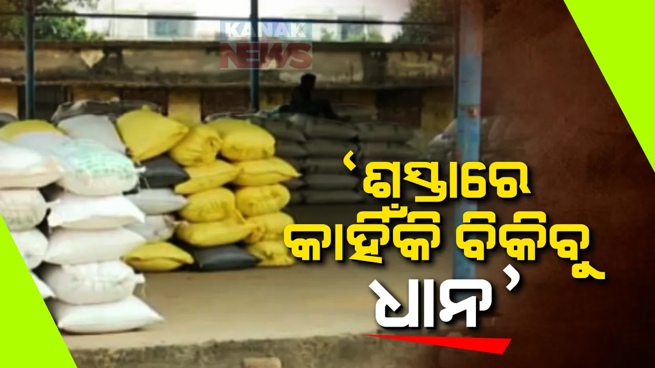  ମାଲକାନଗିରିରେ ଧାନ ମଣ୍ଡିକୁ ଆସୁନାହାନ୍ତି ଚାଷୀ, କେମିତି ହେବ ଟାର୍ଗେଟ ପୁରଣ, ମଣ୍ଡିକୁ ଆସିଲେ ନାହିଁ ୧୪ ହଜାରରୁ ଅଧିକ ଚାଷୀ