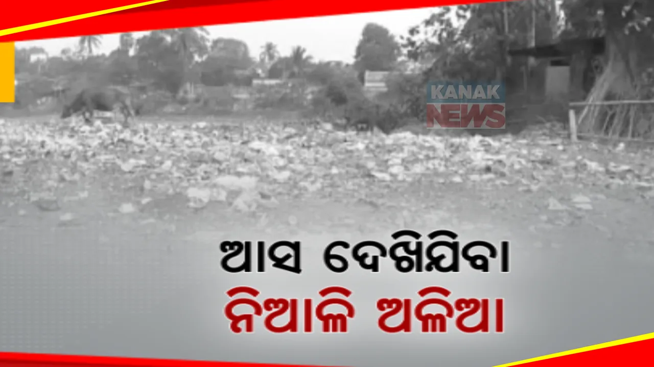  ଗାନ୍ଧୀଙ୍କ ଚଷମାରେ ଝଟକୁଛି ସ୍ୱଚ୍ଛ ଭାରତ, ହେଲେ ନିଆଳିର ଚିତ୍ର ନିଆରା । କୁଢ କୁଢ ଅଳିଆ ଭିତରେ ଅଣନିଶ୍ୱାସୀ ନିଆଳି ଲୋକେ