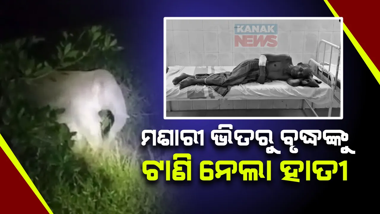  ଘରୁ ମଶାରୀ ଭିତରୁ ବୃଦ୍ଧଙ୍କୁ ଟାଣିନେଲା ଦନ୍ତା ହାତୀ । ଗୁରୁତର ଅବସ୍ଥାରେ ବୃଦ୍ଧ ହସ୍ପିଟାଲରେ ଭର୍ତ୍ତି ।
