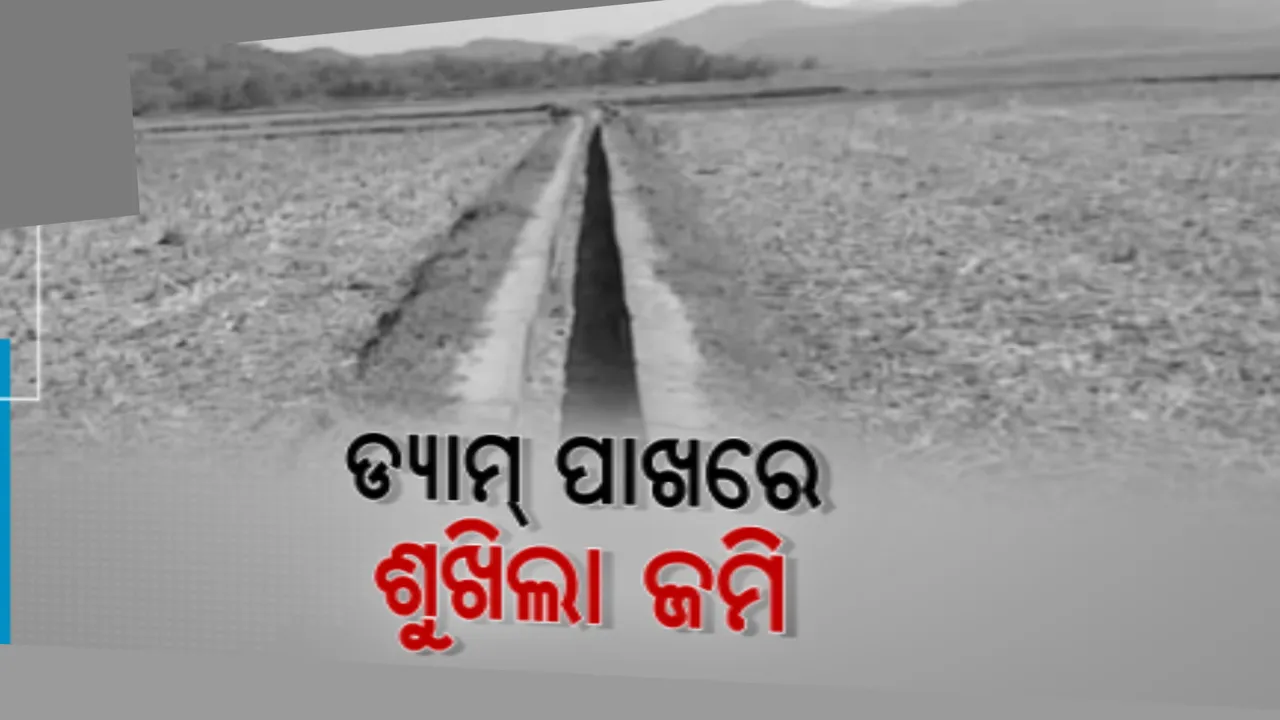  ଜମିରେ ମାଡୁନି ପାଣି । ବିଭାଗୀୟ ଅଧିକାରୀଙ୍କ ମନମାନି ଯୋଗୁ ଚିନ୍ତାରେ ପଡିଛନ୍ତି ବରିପୁଣ ପଚାଂୟତର ଚାଷୀ