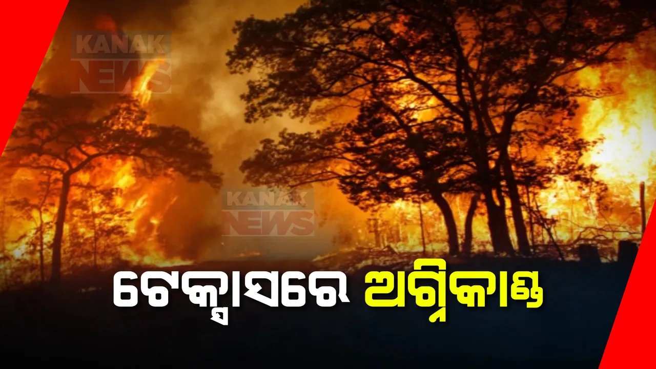  ଆମେରିକା ଟେକ୍ସାସ ଜଙ୍ଗଲରେ ଭୟଙ୍କର ଅଗ୍ନିକାଣ୍ଡ: ୫ଲକ୍ଷ ଏକର ଜଙ୍ଗଲ ଜମି ଜଳିପୋଡ଼ି ପାଉଁଶ