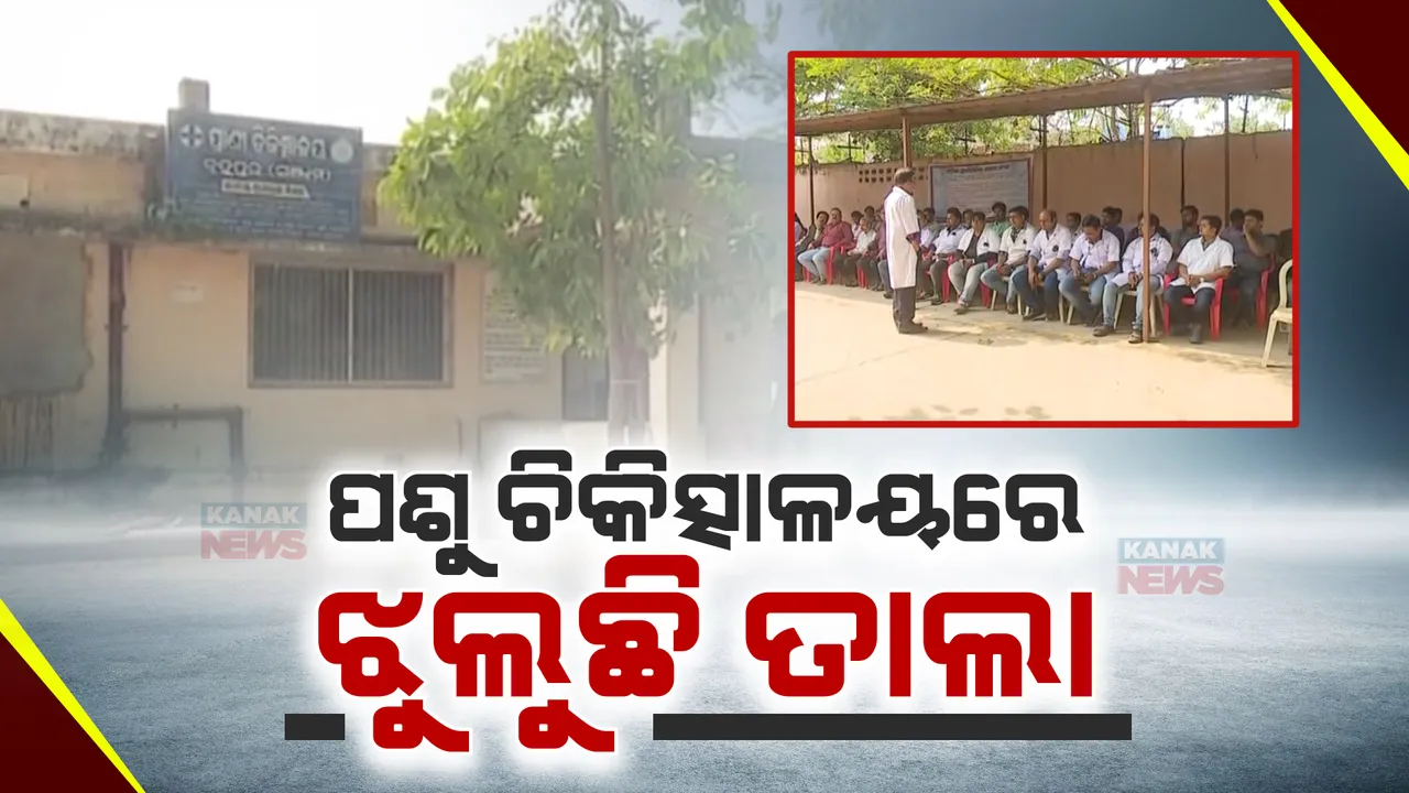  ପଶୁ ଡାକ୍ତରଙ୍କ କାର୍ଯ୍ୟବନ୍ଦ ଆନ୍ଦୋଳନ ଜାରି । ଜାନୁଆରୀରୁ ୪ଦଫା ଦାବି ନେଇ ଚାଲିଛି ବିକ୍ଷୋଭ, ଚିିକିତ୍ସା ନପାଇ ପଶୁ ଜନ୍ତୁଙ୍କୁ ନେଇ ଫେରୁଛନ୍ତି ଲୋକେ
