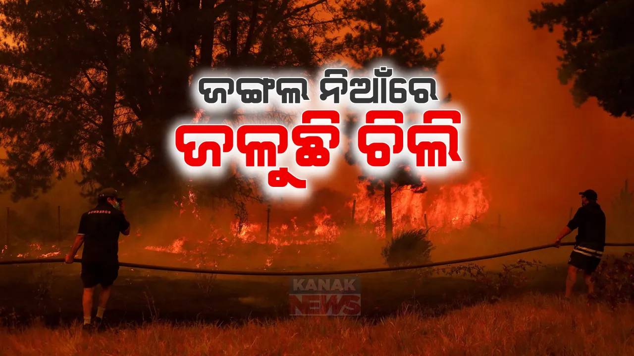  ଭୟଙ୍କର ଜଙ୍ଗଲ ନିଆଁରେ ଜଳୁଛି ଚିଲି: ଜଙ୍ଗଲ ଠାରୁ ଘରବାଡି ସବୁ ପୋଡି ପାଉଁଶ
