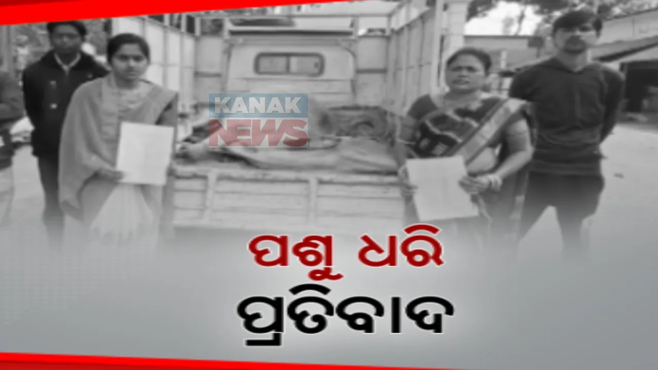  ପଶୁ ଚିକିତ୍ସକଙ୍କ ଆନ୍ଦୋଳନର ପ୍ରଭାବ । ଚିକିତ୍ସା ଅଭାବରୁ ପୋକ ମାଛି ପରି ମରୁଛନ୍ତି ଗୃହପାଳିତ ପଶୁପକ୍ଷୀ