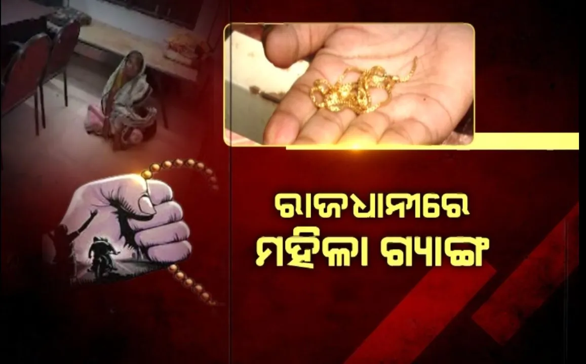  ରାଜଧାନୀରେ ମାତିଛନ୍ତି ମହିଳା ଲୁଟେରା ଗ୍ୟାଙ୍ଗ୍ । ଜନ ଗହଳିପୂର୍ଣ୍ଣ ସ୍ଥାନରୁ ଝାମ୍ପି ନେଉଛନ୍ତି ସୁନା ଗହଣା, ସତସଙ୍ଗ ମହୋତ୍ସବରେ ଦୁଇ ମହିଳାଙ୍କ ଚେନ୍ ଲୁଟ୍ ଅଭିଯୋଗ