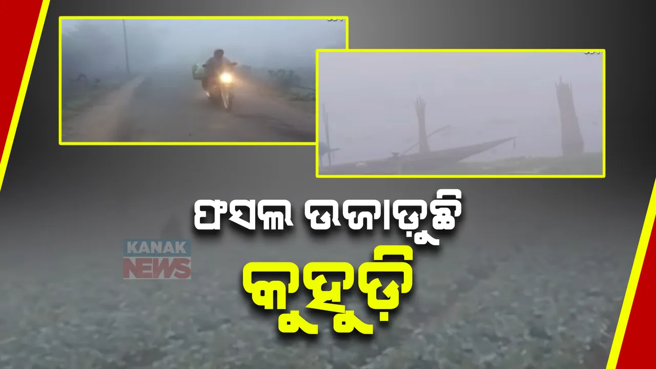  ରାଜ୍ୟର ବିଭିନ୍ନ ସ୍ଥାନରେ ଘନ କୁହୁଡି । ଚାରିଆଡ଼େ ଧୂଆଁ  ଧୂଆଁ  ପରିବେଶ, ଯାତାୟତ ବାଧାପ୍ରାପ୍ତ । ପନିପରିବା ଫସଲ ନଷ୍ଟ ଚିନ୍ତାରେ ଚାଷୀ ।