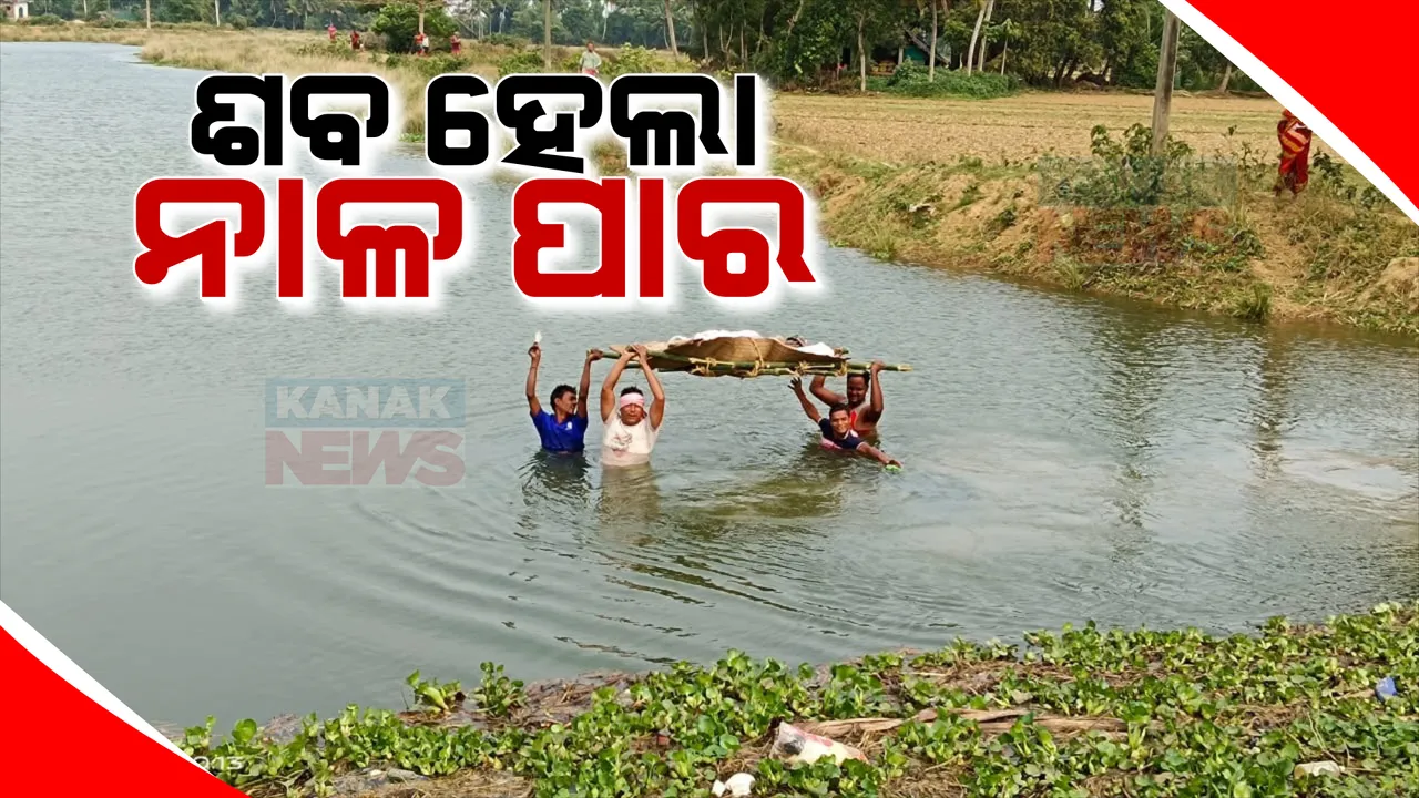  ନିଆଳି କୃଷ୍ଣପ୍ରସାଦ ପଂଚାୟତରେ ଅବ୍ୟବସ୍ଥା । ଗମନା ଗମନ ସମସ୍ୟା ଯୋଗୁ କେନାଲର ଛାତିଏ ପାଣିରେ ଗଲା ମୃତଦେହ
