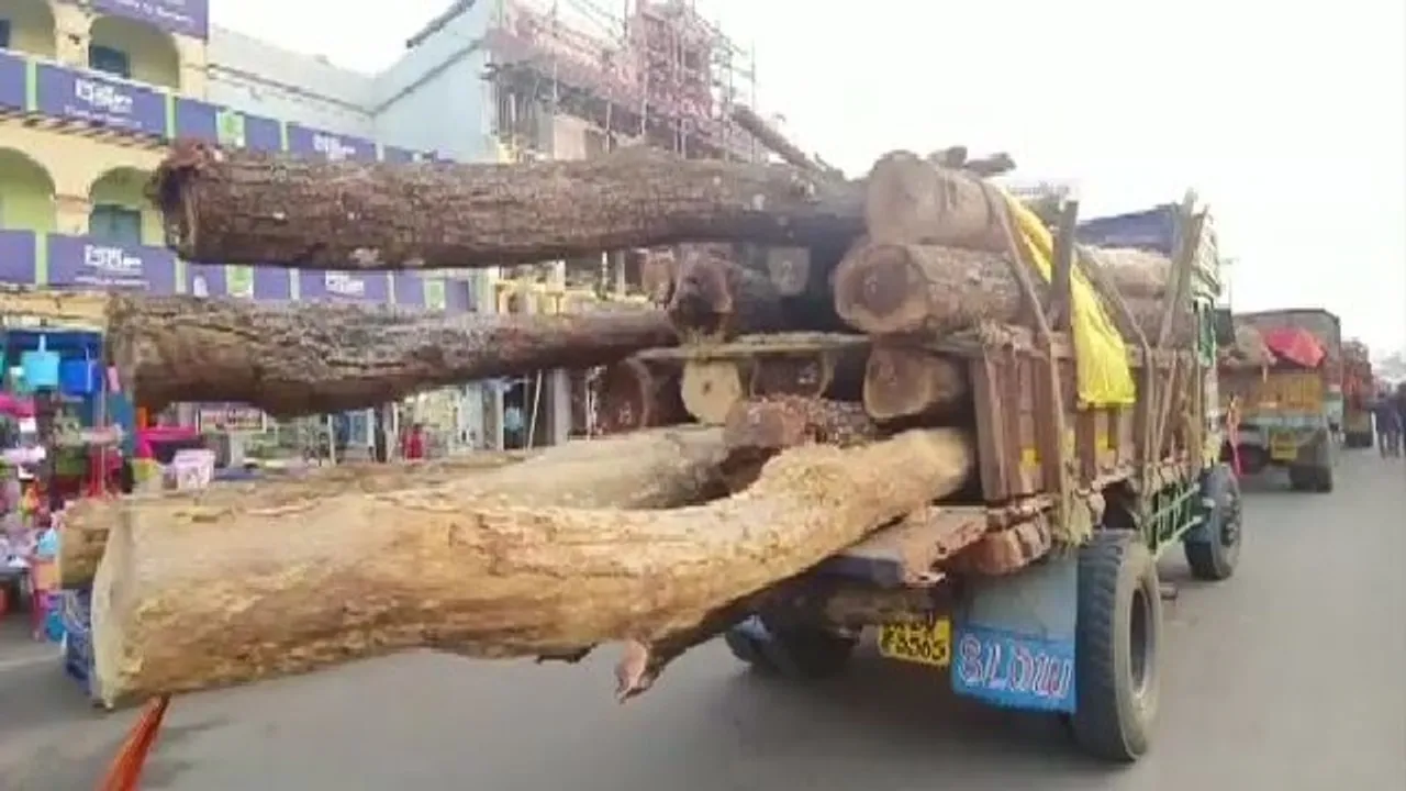  ପବିତ୍ର ଶ୍ରୀପଞ୍ଚିମୀରେ ଆଜି ହେବ ରଥକାଠ ଅନୁକୂଳ । ତିନି ରଥ ପାଇଁ ତିନୋଟି ୧୨ ଫୁଟିଆ ଧଉରା କାଠକୁ କରାଯିବ ପୂଜାର୍ଚ୍ଚନା ।