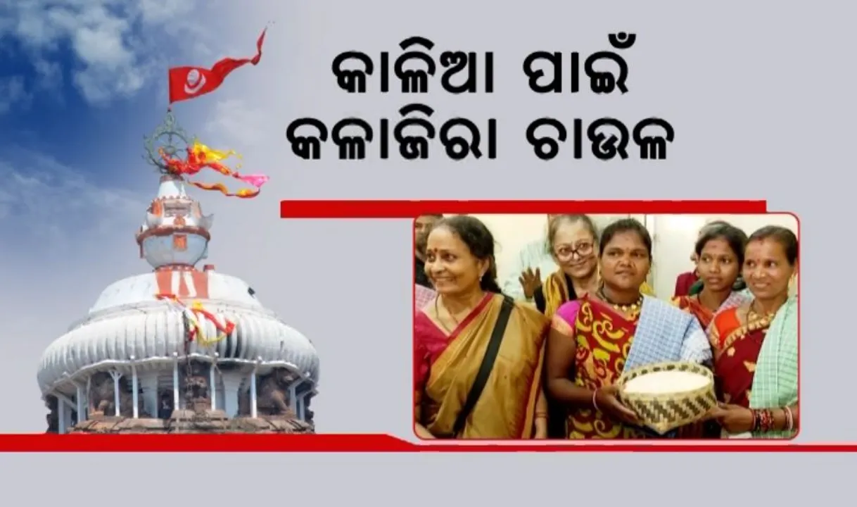  କାଳିଆ ପାଇଁ କଳାଜିରା ଚାଉଳ: ପ୍ରସ୍ତୁତ ହେବ ମହାପ୍ରସାଦ! ଶାବର କ୍ଷେତ୍ରରୁ ଆସିଲା ଶ୍ରୀମନ୍ଦିର