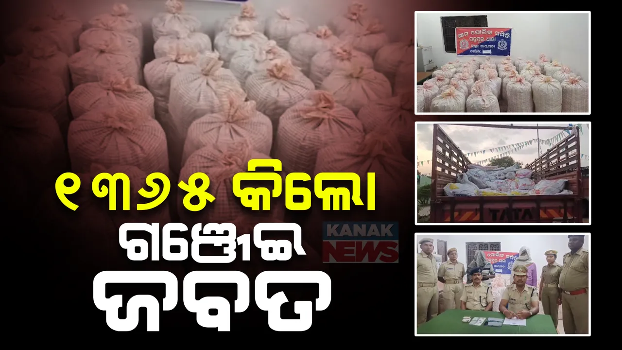  ନଡ଼ିଆ ବୋଝେଇ ଟ୍ରକରୁ ବିପୁଳ ପରିମାଣର ଗଞ୍ଜେଇ ଜବତ । ଦୁଇ ଅଭିଯୁକ୍ତ ଗିରଫ କଲା ପଦ୍ମପୁର ପୋଲିସ ।
