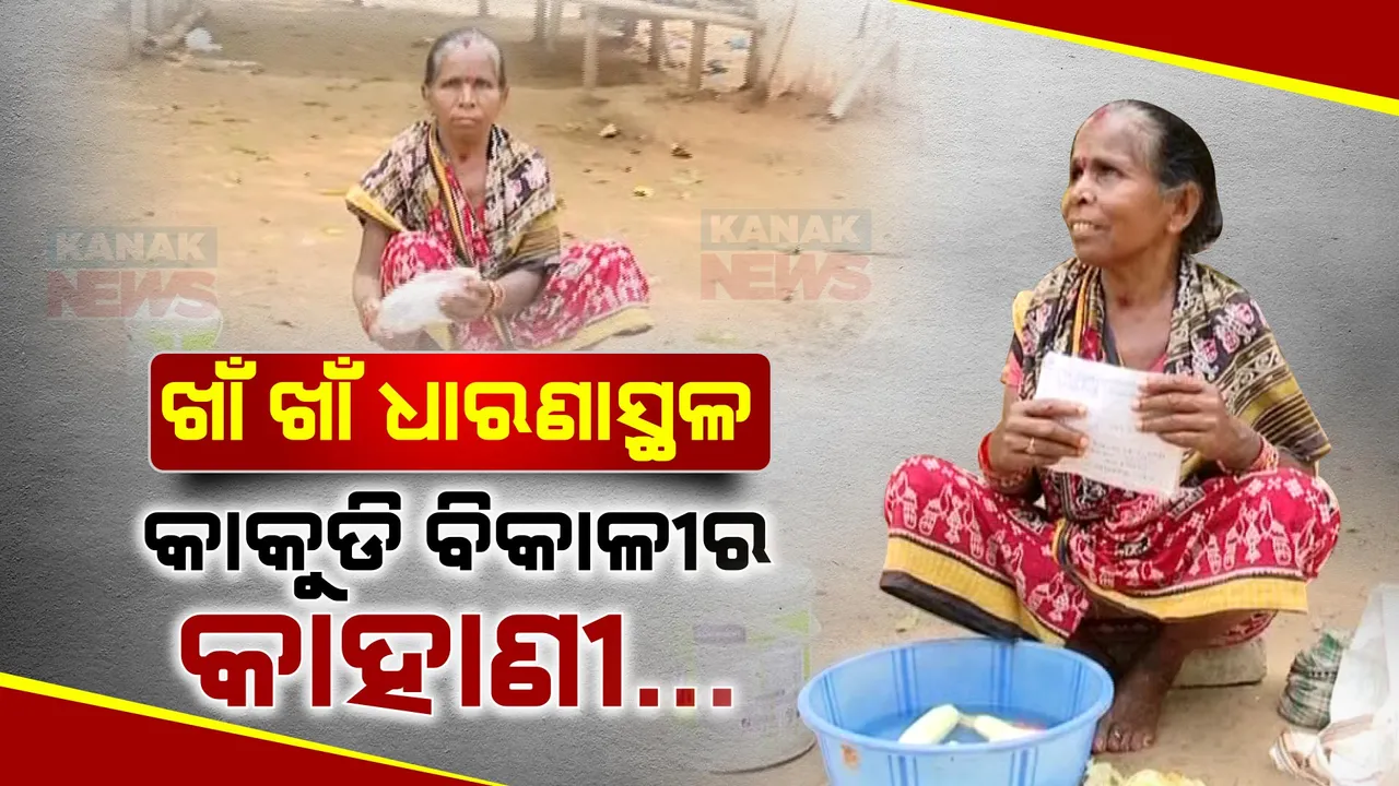  ଭିଡ ଦେଉଥିଲା ଭାତ ପାଇଁ ରୋଜଗାର । ଏବେ ଖାଁଖାଁ ଧାରଣାସ୍ଥଳ, ଦିନ ସାରା ହେଉନାହିଁ ବେପାର...