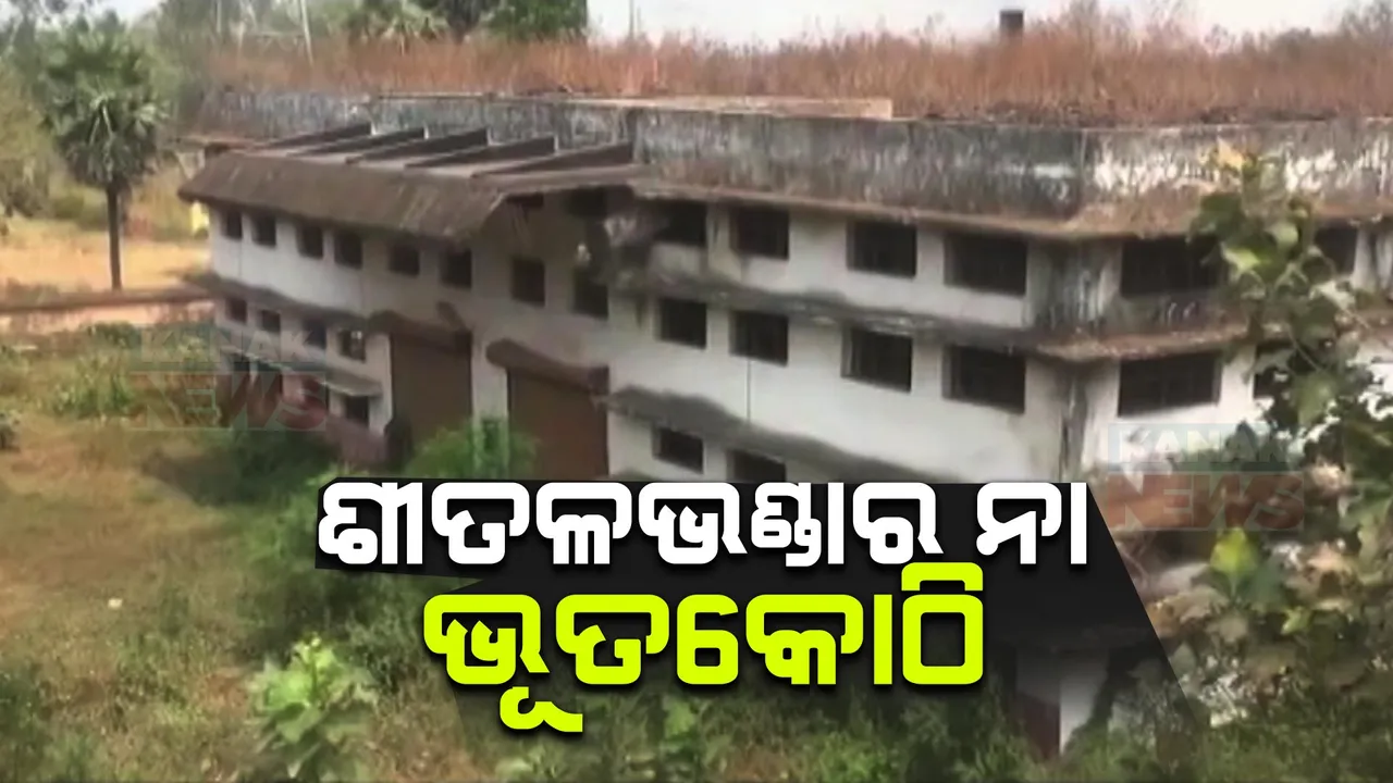  କେଉଁଠି ରଖିବେ ଅମଳ ଫସଲ? ଶୀତଳ ଭଣ୍ଡାର ଅଚଳ ପଡିଥିବା ବେଳେ ଚିନ୍ତାରେ ଚାଷୀକୂଳ ।
