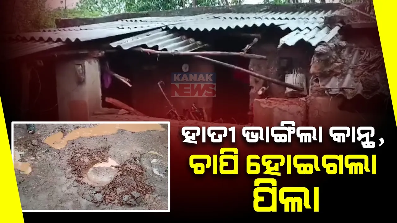  ଢେଙ୍କାନାଳ କପିଳାସ ବନାଞ୍ଚଳ ରଗଡ଼ି ସାହିରେ ହାତୀ ଆତଙ୍କ: ହାତୀ ଭାଙ୍ଗିଥିବା କାନ୍ଥ ତଳେ ଚାପି ହୋଇ ନାବାଳକର ମୃତ୍ୟୁ