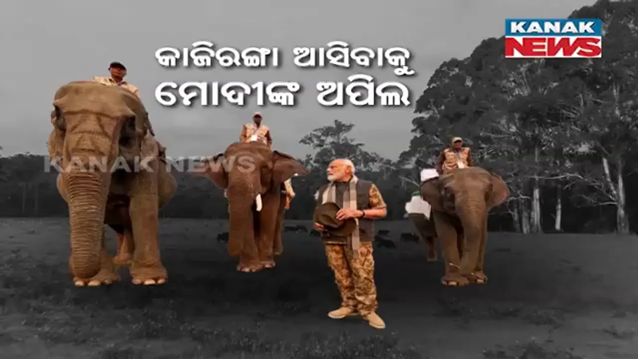  ‘କାଜିରଙ୍ଗା’ ବୁଲିଲେ, ନିଜେ କ୍ୟାମେରା ଧରି ଫଟୋ ଉଠାଇଲେ ପ୍ରଧାନମନ୍ତ୍ରୀ । ଜଙ୍ଗଲ ସଫାରୀ କରି ପର୍ଯ୍ୟଟକଙ୍କୁ କଲେ ଅପିଲ ।