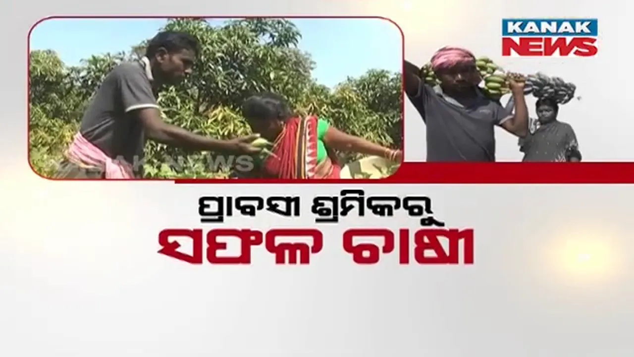  ପ୍ରବାସୀ ଶ୍ରମିକରୁ ସଫଳ ଚାଷୀ: ଜଣେ ଗରିବ ଚାଷୀଙ୍କ ସଂଘର୍ଷର କାହାଣୀ