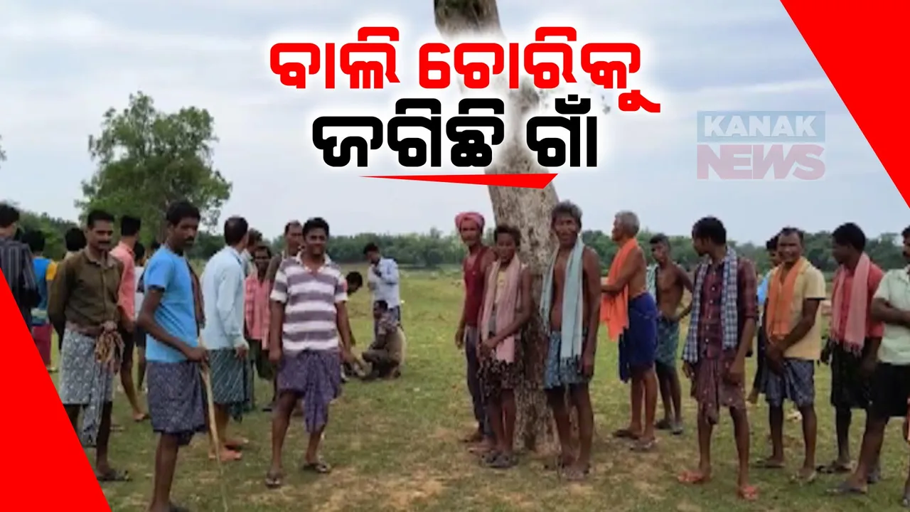  ନୀଳଗିରିରେ ଦିନ ଦ୍ୱିପ୍ରହରରେ ସୋନ ନଦୀ ପଠାରୁ ବାଲି ଉଠାଉଛନ୍ତି ମାଫିଆ । ଅଭିଯୋଗ ପରେ ବି ଚୁପ୍ ବସିଛି ପ୍ରସଶାନ, ପାଳି କରି ଘାଟ ଜଗୁଛନ୍ତି ଗ୍ରାମବାସୀ