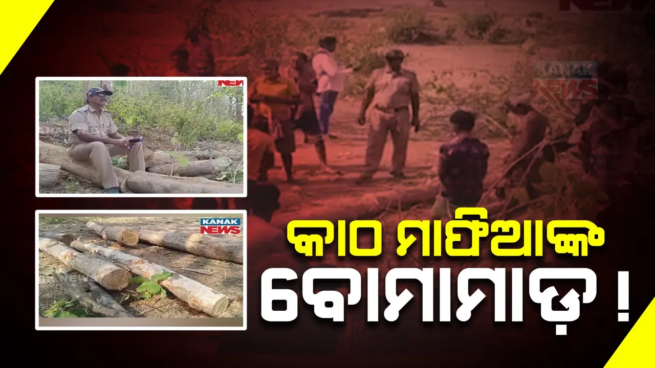  କାଠ ମାଫିଆଙ୍କ ଆତଙ୍କରାଜ । ରାତିରେ ଶାଗୁଆନ ଗଛ କାଟୁଥିଲେ ମାଫିଆ, ଗାଁ ଲୋକ ପହଞ୍ଚିଯିବାରୁ ବୋମା ଫିଙ୍ଗି ଫେରାର ହୋଇଗଲେ ୪ ଜଣ ଦୁର୍ବୃତ୍ତ ।